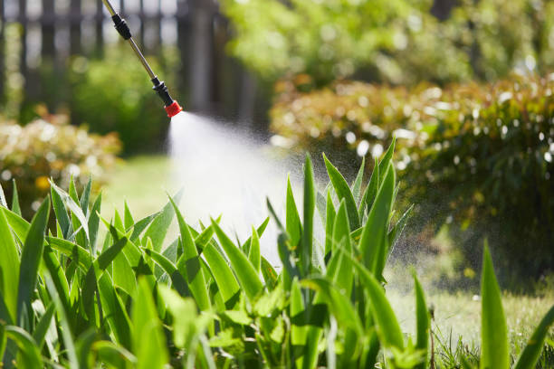 24/7 Emergency Wasp Removal experts in Mountain Home, NC