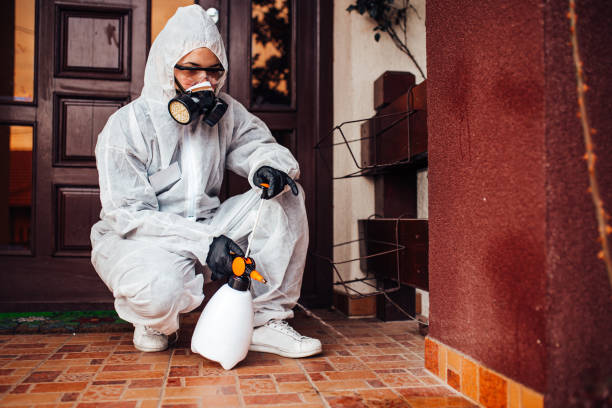 Reliable Wasp Removal contractor in Mountain Home, NC by Show Me Pest Control